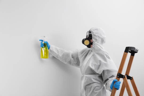 Trusted Lake Geneva, WI Mold Removal Services Experts